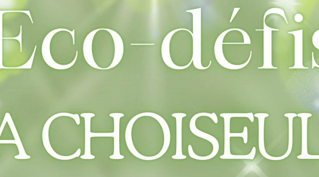 Eco-défis à Choiseul