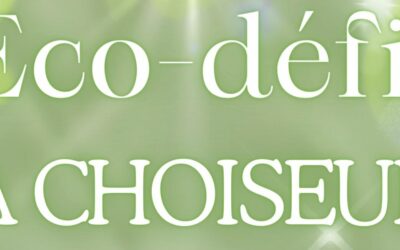 Eco-défis à Choiseul